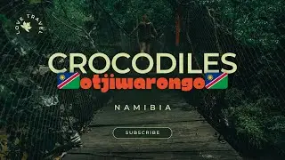 Where to have fun in Otjiwarongo  Namibia 🇳🇦