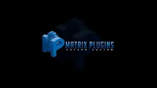 How to use Matrix Plugins?