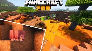 Building the Perfect Armadillo Enclosure in Minecraft Zoo