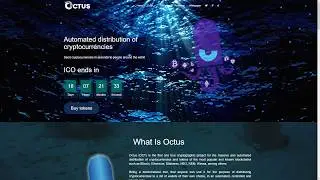 Octus - автоматическое распределение криптовалют. Токен OCT. Токенсейл.