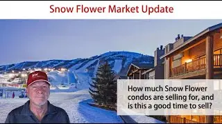 Snow Flower Market Update Webinar | March 2021