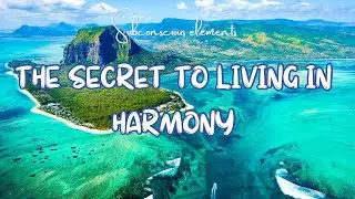 Embracing Life’s Rhythms & Unlocking Your Magnetic Presence | The 15th Gene Key | Podcast Episode 24