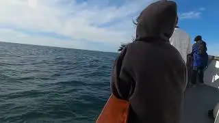 Quick Trip to the Ocean
