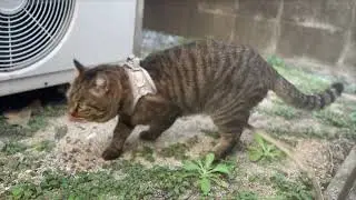My vacation is over and I'm back on patrol 20251208