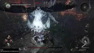 Nioh - How to Beat White Tiger - Boss Fight NG+