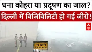 Delhi News:दिल्ली की सड़कों पर कोहरा और प्रदूषण का कहर | Weather Update |Delhi Pollution