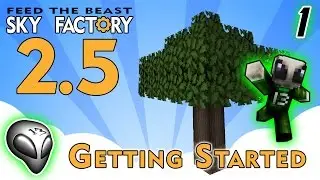 FTB Sky Factory 2.5 👽 Episode 1: Getting Started