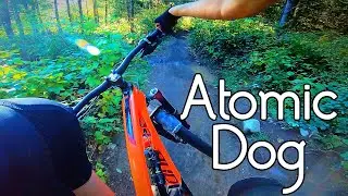 Atomic Dog - Galbraith MTB [4K]