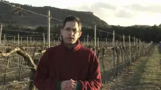 2009 Legaris Reserva, Ribera del Duero - 100% Tempranillo