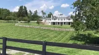 Fox and Mowing Perfection Aug 2016