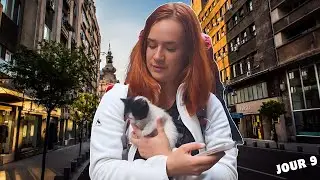 Sauvetage d'un chaton dans les rues de Bucarest | FRANCE - JAPON SANS AVION (Episode 8)