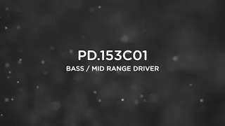 Фокус на продукте Precision Devices - PD.153C01