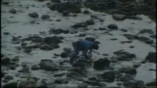 Miners strike | Coal Miners | Trade Unions | Margaret Thatcher | TV Eye | 1984