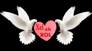 XEL AK XOL  Part:1