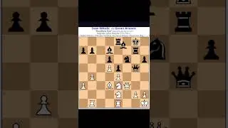 A partida mais longa da hist&oacute;ria do xadrez!!