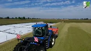 Top silage Italy 2016
