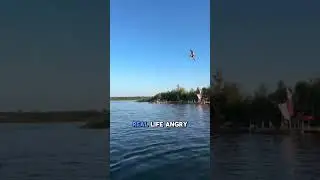 They Built a GIANT Slingshot to Launch Humans! (Crazy Water Stunt 😱)