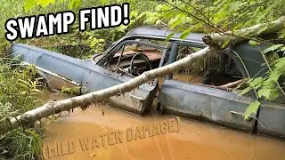 Help Me Identify this Classic Car I Found!!
