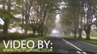 Beech Avenue, Doreset - Photo Daniel