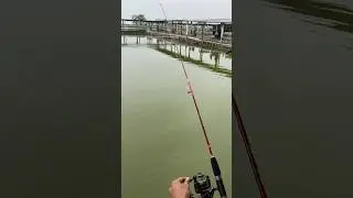 mancing bareng teman #mancing #fishing #holiday #tempatmancing