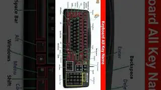 Keyboard Knowledge for Beginners