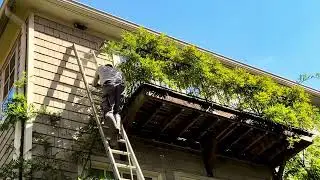 Professional Soft Siding Cleaning & Commercial Exterior Pressure Washing in Northern VA | Insured VA