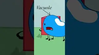 How Leafy was made