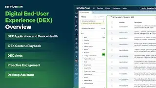 Digital End-User Experience (DEX) overview