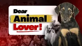 Why do we eat Animals?