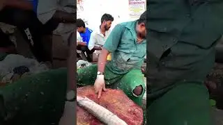 big fish cutting  big fish cutting #fishcutting #fishfishcuttingskills #specialmedia