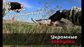 Назад в прошлое: детские воспоминания и хлебосольные закутки