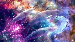 Pogo - Cosmic Dolphin