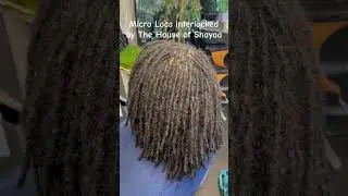 Perfect MicroLoc Maintenance Before & After Transformation #MicroLocs #HairCare #TransformationGoals