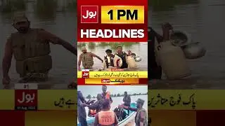 Pak Army Won Hearts | Cattle Rescued | BOL News Headline At 1 PM | Punjab #shorts #youtubeshorts