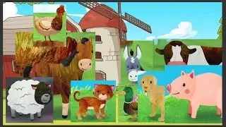 Old Mcdonald had a farm Cocomelon animals, for @Fox kids 