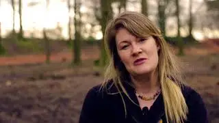 Woodbury Castle Restoration Project