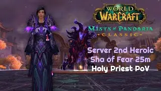 Server 2nd Heroic Sha of Fear 25m - Holy Priest PoV | Terrace of Endless Spring