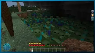 Minecraft CaptKniight's Mob Challenge for AER0KNIGHT | endmuser
