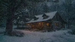 Quiet Cabin Nights | Wind and Snow Cozy Chill Ambience for Relaxing, Studying and Sleeping