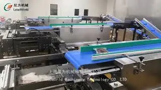 Drop-type cartoning machine (bag-packed spareribs) |back-packing production line