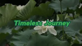 Timeless Journey [LYRICS]