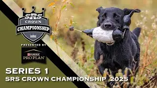 2025 SUPER RETRIEVER SERIES CROWN CHAMPIONSHIP - SERIES 1