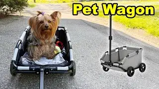 Small Wagon for Dogs