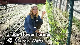 Rachel Nafis: Urban Flower Farmer