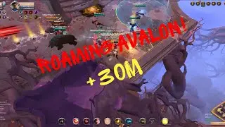Roaming Fight Avalon - More Then 30m Silver #1