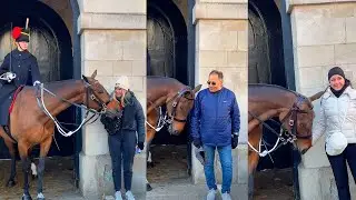 Tourists&rsquo; Lucky Encounter: Gunner&rsquo;s Unexpected Generosity Lets Tourists Pet the Horse.