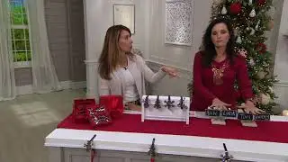 Haute Decor Set of 4 MantleClip Stocking Holder & Storage Box on QVC