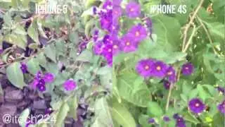 iPhone 5 vs. iPhone 4S Camera Test
