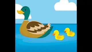 Evergreen Nr.XX: Be Kind to Your Web-Footed Friends