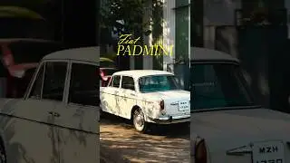 Fiat Padmini 😍🚘#vintagecars #shotoniphone #fiat #padmini
